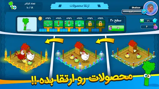 شالیزار