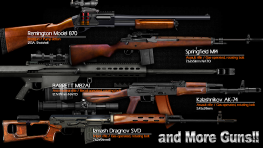 Magnum 30 Gun Custom