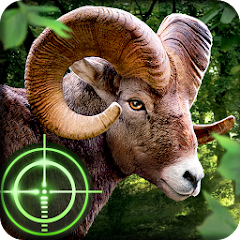 دانلود بازی Wild Hunter 3D