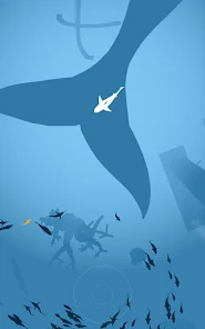 Shoal of fish