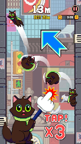 Cat Jump