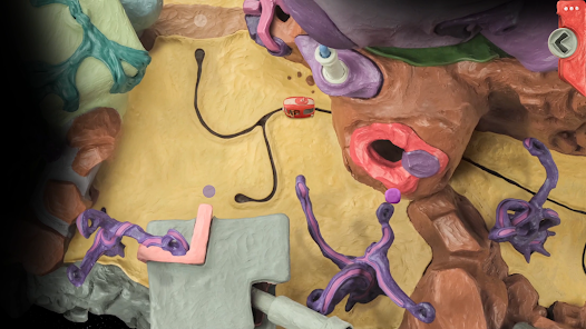 The Sense Point: Puzzle Quest