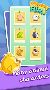 Crazy Bird