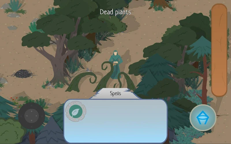 Druid