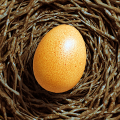 دانلود بازی Egg Journey