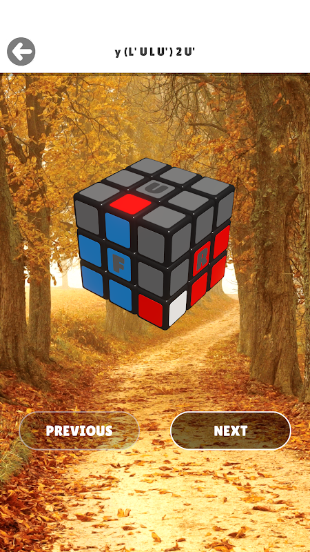 Magic Cube Puzzle