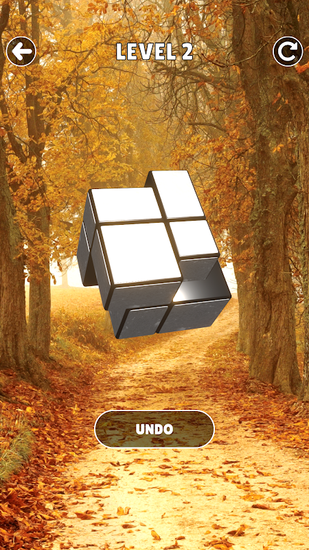 Magic Cube Puzzle