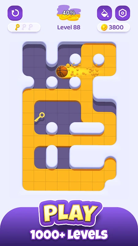 Color Maze Adventure