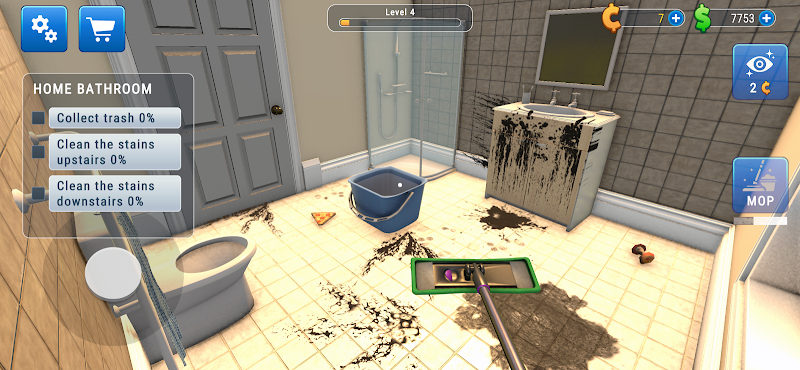 House Cleaner