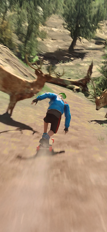 Downhill Racer
